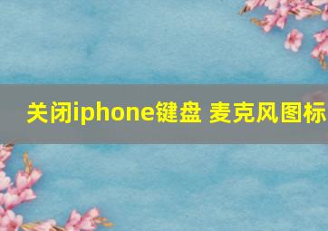 关闭iphone键盘 麦克风图标